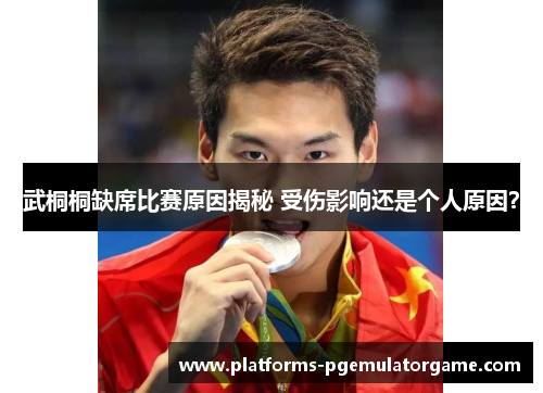 武桐桐缺席比赛原因揭秘 受伤影响还是个人原因?