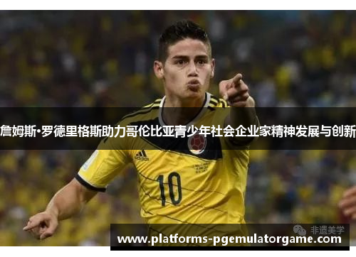 詹姆斯·罗德里格斯助力哥伦比亚青少年社会企业家精神发展与创新 詹姆斯·罗德里格斯助力哥伦比亚青少年社会企业家精神发展与创新