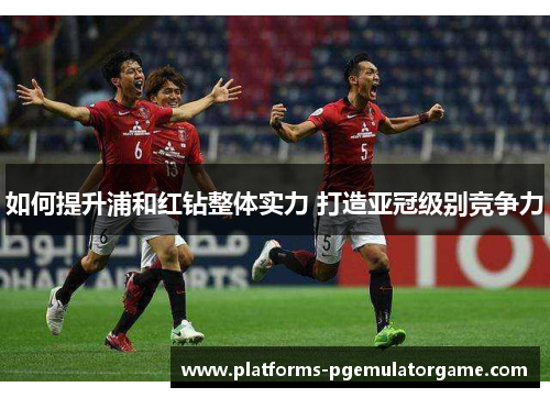 如何提升浦和红钻整体实力 打造亚冠级别竞争力