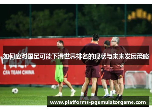 如何应对国足可能下滑世界排名的现状与未来发展策略