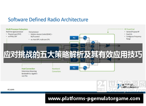 应对挑战的五大策略解析及其有效应用技巧
