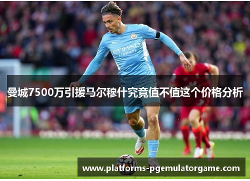 曼城7500万引援马尔穆什究竟值不值这个价格分析