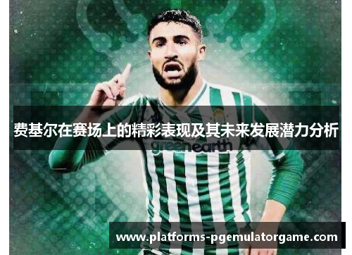 费基尔在赛场上的精彩表现及其未来发展潜力分析