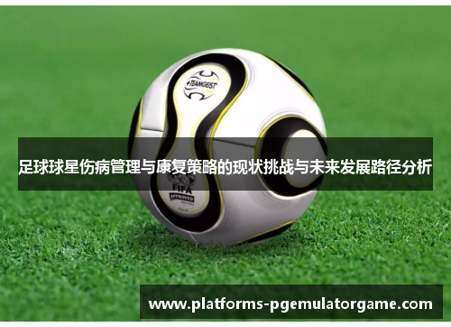 足球球星伤病管理与康复策略的现状挑战与未来发展路径分析